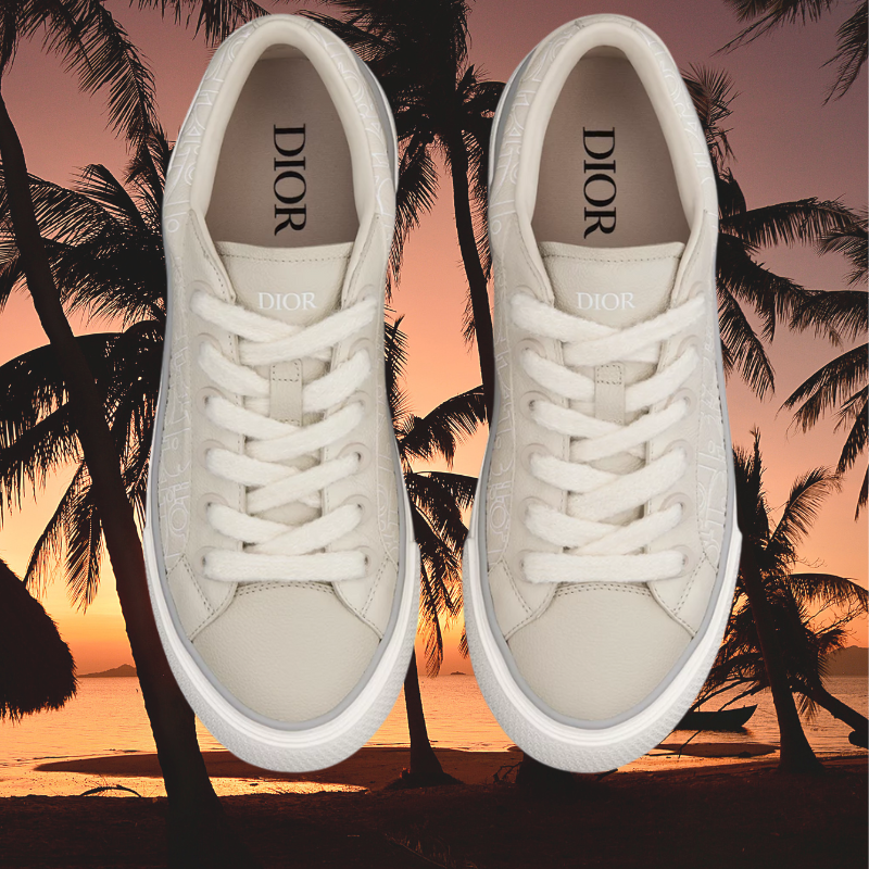 DIOR B33
